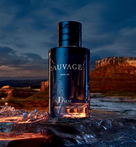 what type of fragrance is dior sauvage|dior sauvage for men boots.